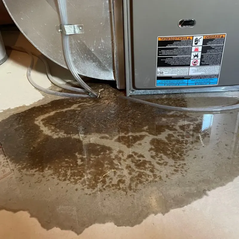 Pipe Burst and Leak Restoration in Oak Cliff Place, TX