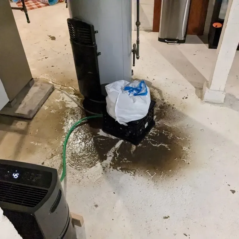Sewage Backup Cleanup Service in Oak Cliff Place, TX
